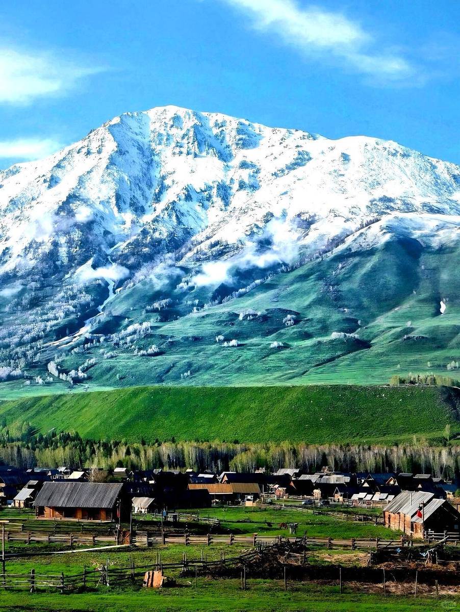 新疆，嘉宾与友朋共聚一堂