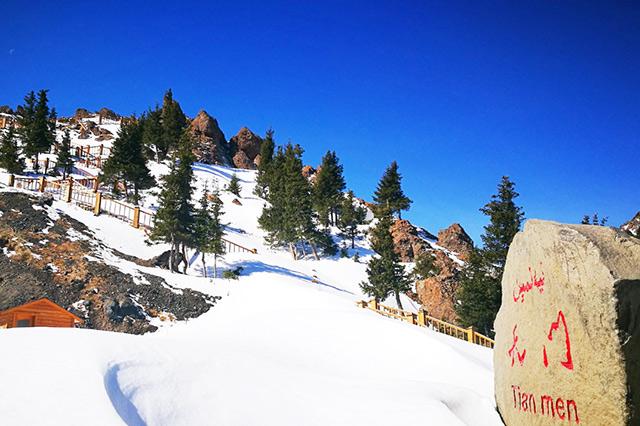 新疆科技新纪元，智领未来生活探索之旅